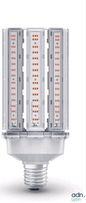 Lot de 2 ampoules leds - RADIUM - 6000 IM - Neuf - La premiè…