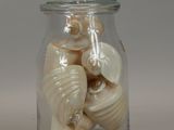 a glass jar with shells inside of it on a table