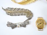a gold watch, a feather, a feather brooch, and a feather brooch on a white surface