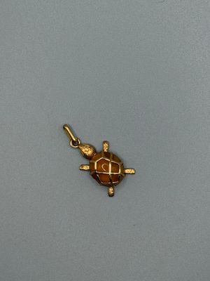 a small turtle that is sitting on top of a table