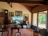 un salon avec de nombreux tableaux accrochés aux murs