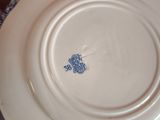 a white plate with a blue and white design on it