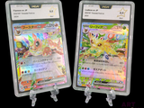 deux cartes Pokémon dans des pochettes en plastique sur fond noir