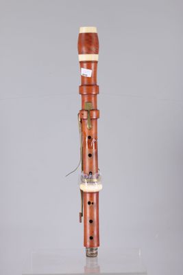an image of a musical instrument on a clear surface