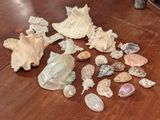 beaucoup de coquillages par terre, à côté d'un vase