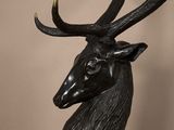 the head of a deer with large antlers on it ' s head