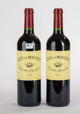 deux bouteilles de vin rouge posées l'une à côté de l'autre sur une surface blanche
