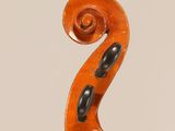 a close up of the back of a violin with a scroll