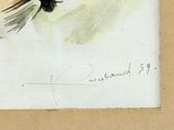 a drawing of a bird sitting on top of a piece of paper