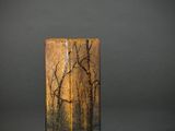 a close up of a glass vase with trees in the background