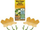 un bouquet de trois fleurs jaunes aux tiges vertes sur fond blanc