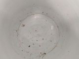 a close up of a white bowl with dirt on it