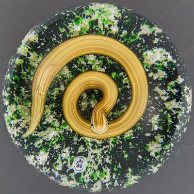 une plaque de verre sur laquelle est représenté un serpent jaune et noir