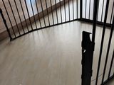 a dog that is standing in a gated area