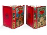 une paire de livres rouges illustrés posés sur une surface blanche