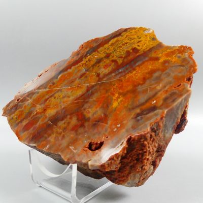 a close up of a piece of rock on a clear stand