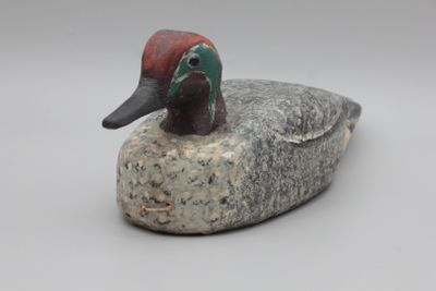 un oiseau perché sur un rocher