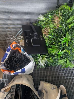 un tas de plantes vertes et une paire de chaussures par terre