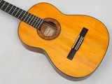 an image of a small acoustic guitar sitting on a white surface