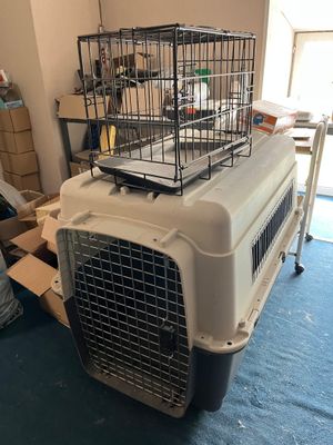 une cage pour chien surmontée d'une autre cage