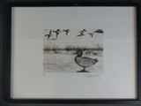a picture of a picture of a duck in the water