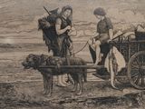two men riding on a horse drawn carriage with a dog