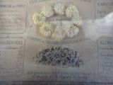 a newspaper with a bunch of dried flowers on it