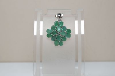 an image of a close up of a pair of earrings on a display case