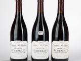 trois bouteilles de vin sont alignées sur une surface blanche