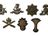 un ensemble d'insignes et de distinctions militaires sur fond blanc