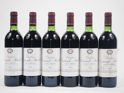 six bouteilles de vin rouge alignées