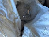 a box with a white bag and a stuffed animal inside of it