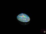 an oplite in the dark with a black background