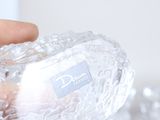 a person holding a clear plastic object in their hand