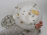 a person holding a plate with a clock on it