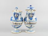 une paire de vases bleus et blancs ornés de motifs bleus et blancs
