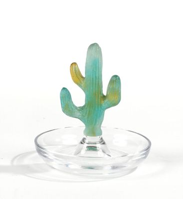 un bol en verre contenant un cactus, posé sur une surface blanche