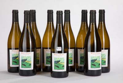 six bouteilles de vin sont alignées sur une surface blanche