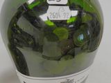 a bottle of wine that has a bunch of coins in it