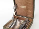 a box with a set of six spoons in it