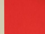 an image of a picture of a red square with the word m on it