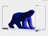a blue bear in a glass case on a white background