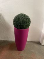 Ensemble de plantes artificielles de décoration comprenant :… (photo 2)