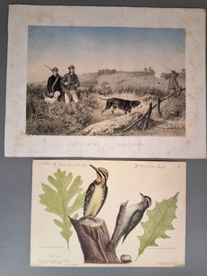 deux gravures représentant des oiseaux et un oiseau perché sur une branche d'arbre