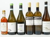 plusieurs bouteilles de vin sont alignées sur une surface blanche