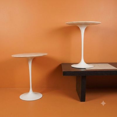 deux tables posées sur une table dans une pièce