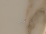 a close up of a dirty sink with a black and white drain