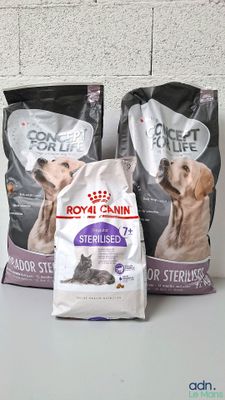 deux sacs de croquettes Royal Canin pour chat et un sac de croquettes pour chat stérilisé