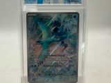 la carte se trouve dans un étui en plastique transparent