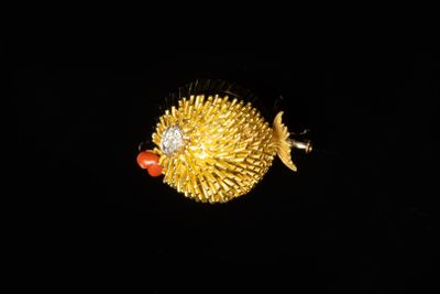 un poisson rouge avec une perle rouge accrochée au corps
